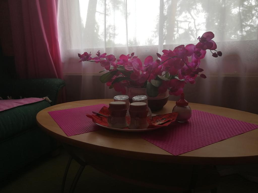 Hotel Villa Vanessa Siltakylä Eksteriør bilde